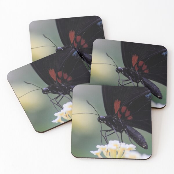 Item preview, Black and Red Butterfly designed and sold by Page Photography.