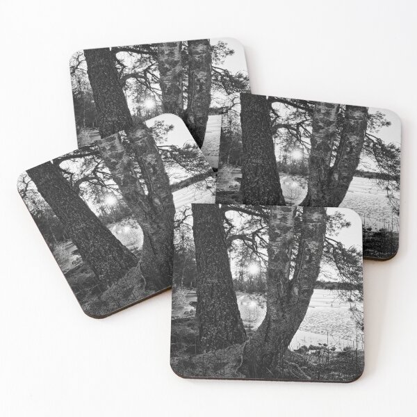 Item preview, A Birch a pine and the sun bw designed and sold by Jouko Lehto Photography.