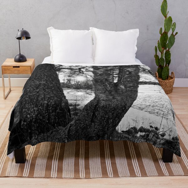 Item preview, A Birch a pine and the sun bw designed and sold by Jouko Lehto Photography.