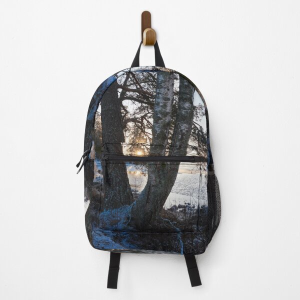 Item preview, A Birch a pine and the sun designed and sold by Jouko Lehto Photography.