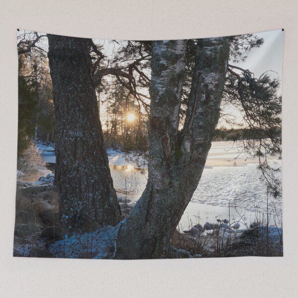Item preview, A Birch a pine and the sun designed and sold by Jouko Lehto Photography.