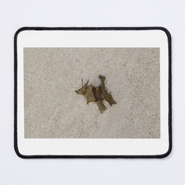 Item preview, Seaweed on the sand designed and sold by DJWardo100.