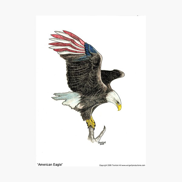 American Eagle Photographic Print