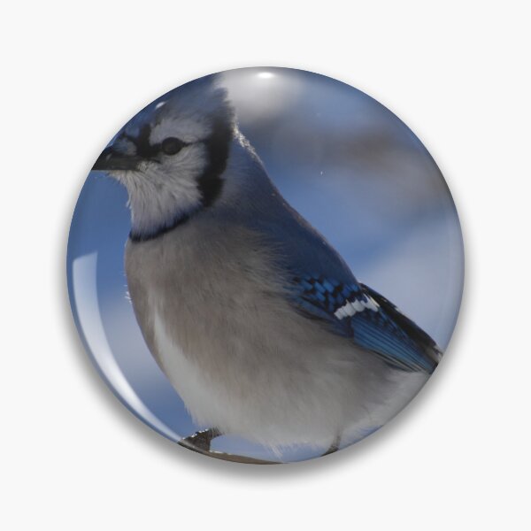 Item preview, A blue jay in winter designed and sold by Claude Laprise.