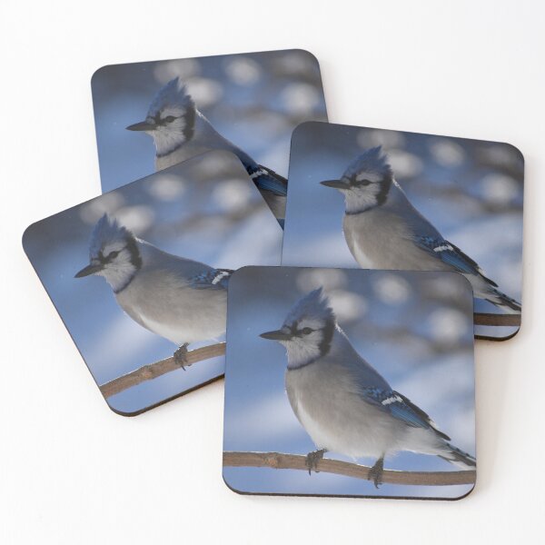Item preview, A blue jay in winter designed and sold by Claude Laprise.