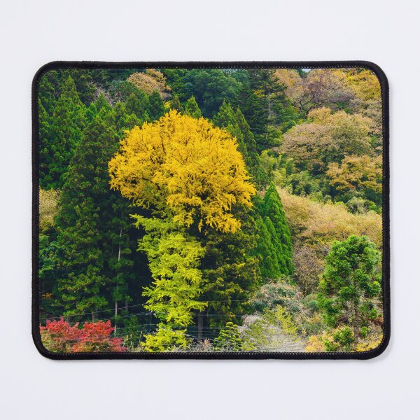 Item preview, Lone Yellow Ginkgo Tree designed and sold by Pix4Japan.