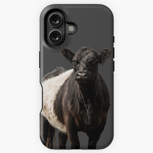 Vista previa del artículo con la obra «Vaca Galloway con cinturón», diseñado y vendido por JStanley19.
