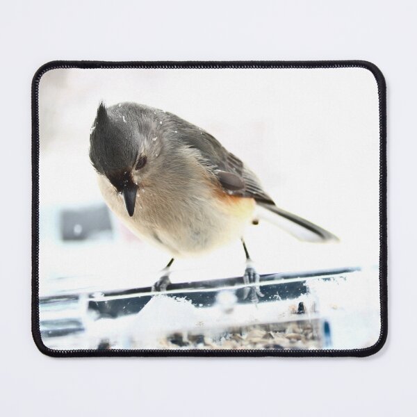 Item preview, Tufted Titmouse  designed and sold by McFleur's Lens.