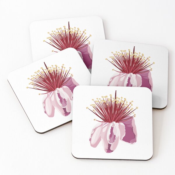 Item preview, Feijoa flower hand drawn illustration.  designed and sold by MatyKotiv.