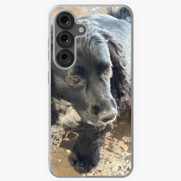 Item preview, Close up of cocker spaniel dog  designed and sold by KateEsdaile.