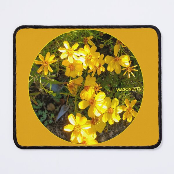 Item preview, Floral Sunshine Daisies by Wagonesta designed and sold by Wagonesta.
