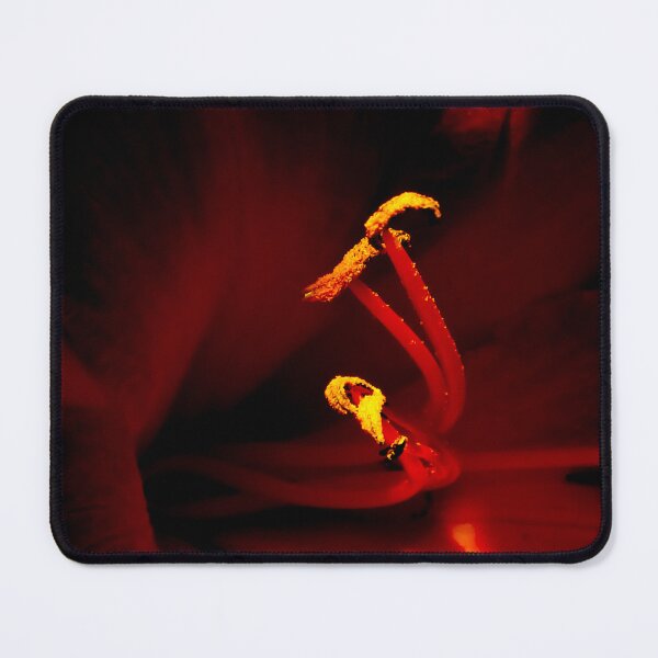 Item preview, Macro Photography of a Daylily in Shadowed Light designed and sold by MajikFlower.