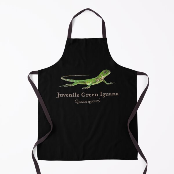 Item preview, Juvenile Green Iguana with Scientific Name designed and sold by Futurebeachbum.
