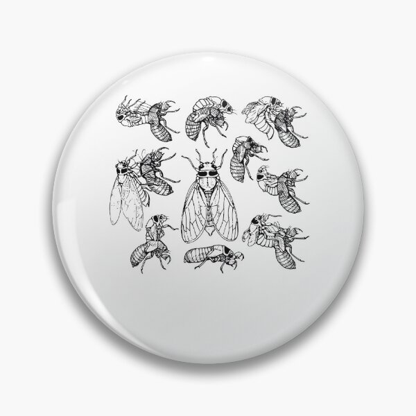 Item preview, Cicadas Life Cycle Vintage Science Cicada Bug Illustration designed and sold by NUMAcreations.