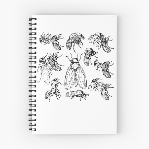 Item preview, Cicadas Life Cycle Vintage Science Cicada Bug Illustration designed and sold by NUMAcreations.