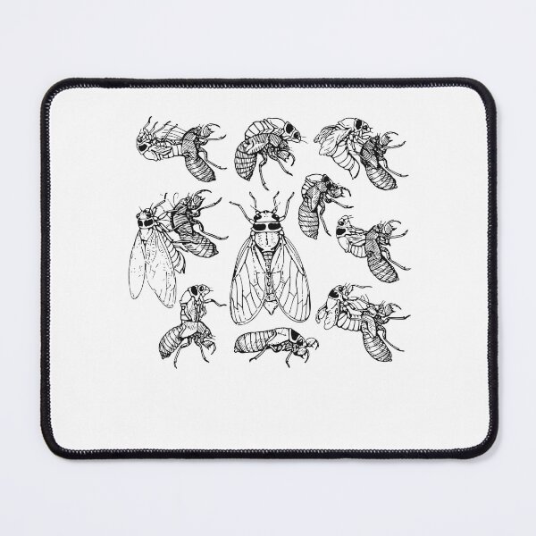 Item preview, Cicadas Life Cycle Vintage Science Cicada Bug Illustration designed and sold by NUMAcreations.