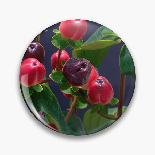 Item preview, St. John's wort flower designed and sold by IgorKovalenko.