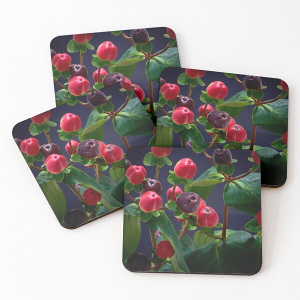 Item preview, St. John's wort flower designed and sold by IgorKovalenko.