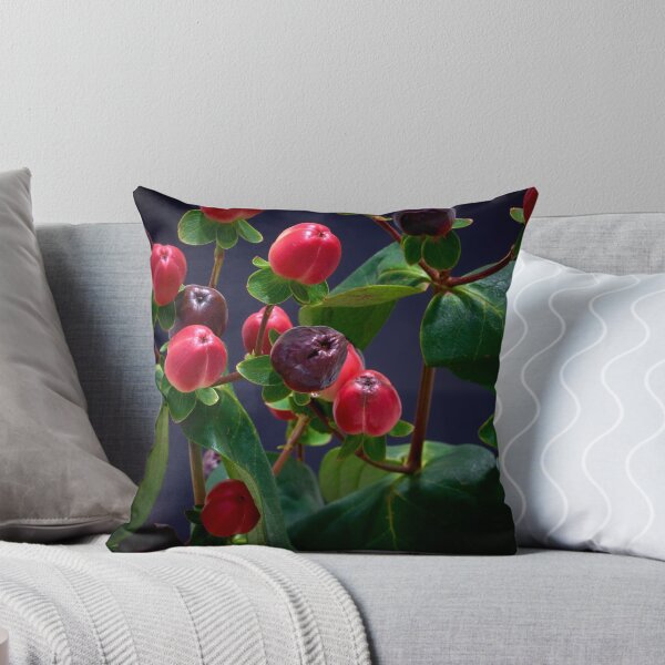 Item preview, St. John's wort flower designed and sold by IgorKovalenko.