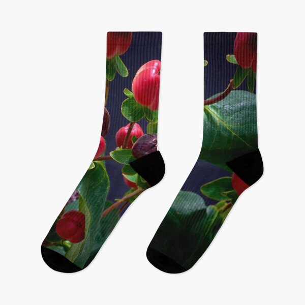 Item preview, St. John's wort flower designed and sold by IgorKovalenko.