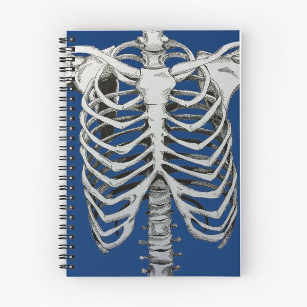 Item preview, Skeleton torso pen sketch designed and sold by Food and stuff.