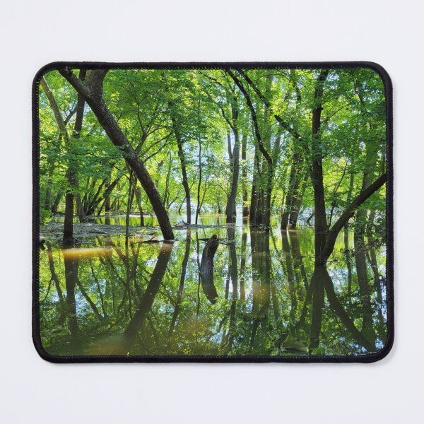 Item preview, Flooded Hiking Trail designed and sold by Cynthia Markey.