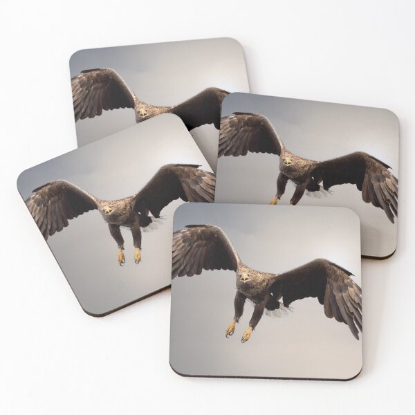 Item preview, White Tailed Eagle designed and sold by Wildlife Photographer UK.