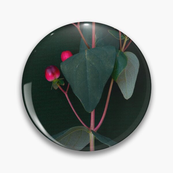 Item preview, St. John's wort flower designed and sold by IgorKovalenko.