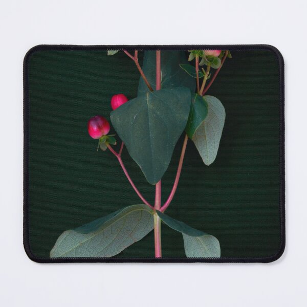 Item preview, St. John's wort flower designed and sold by IgorKovalenko.