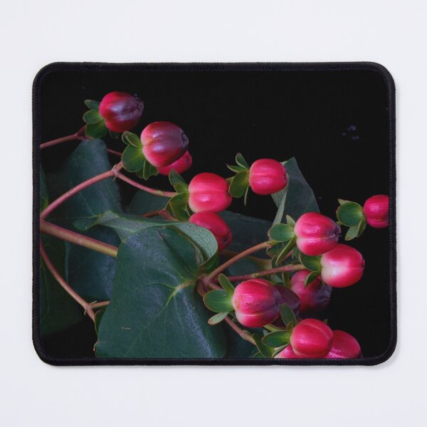 Item preview, St. John's wort flower designed and sold by IgorKovalenko.