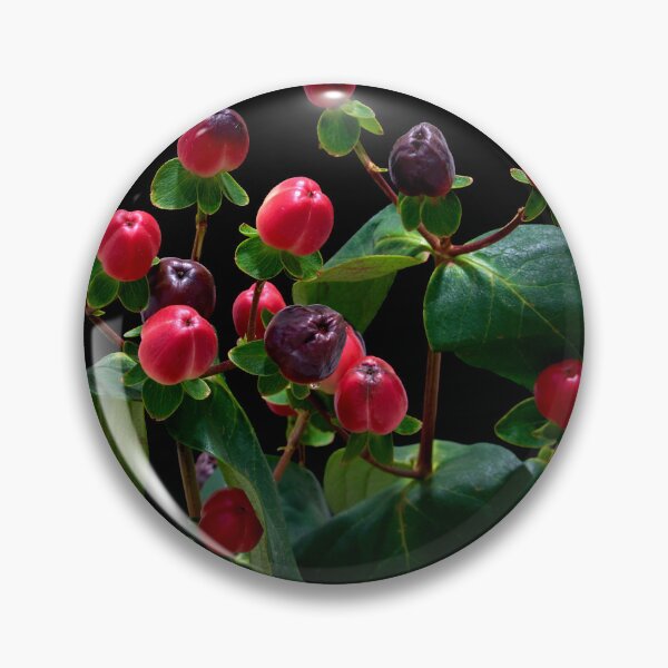 Item preview, St. John's wort flower designed and sold by IgorKovalenko.
