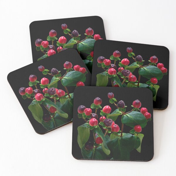 Item preview, St. John's wort flower designed and sold by IgorKovalenko.