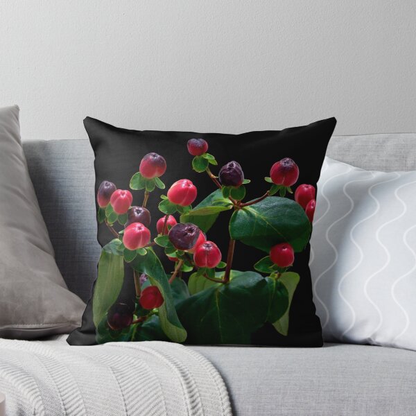 Item preview, St. John's wort flower designed and sold by IgorKovalenko.