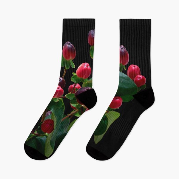 Item preview, St. John's wort flower designed and sold by IgorKovalenko.