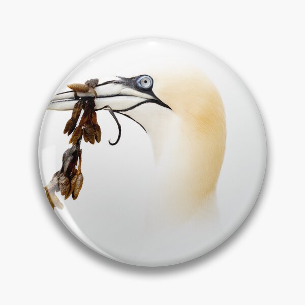 Item preview, Gannet With Seaweed designed and sold by Wildlife Photographer UK.