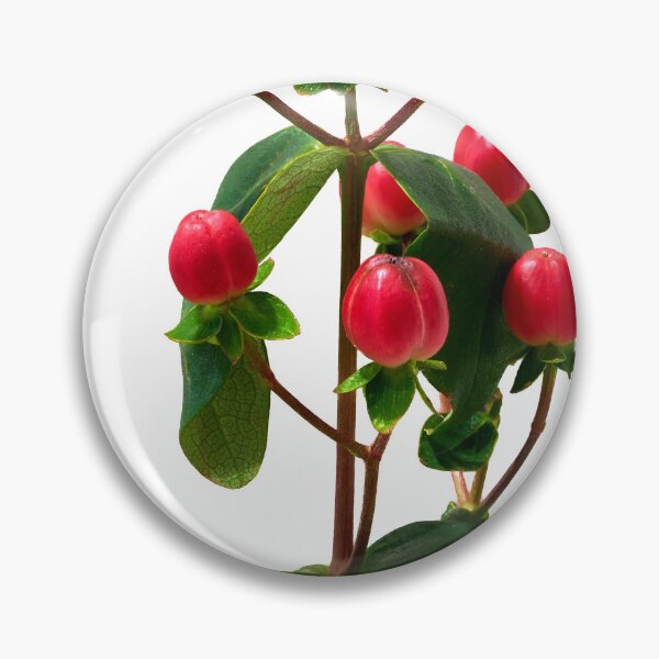 Item preview, St. John's wort flower designed and sold by IgorKovalenko.