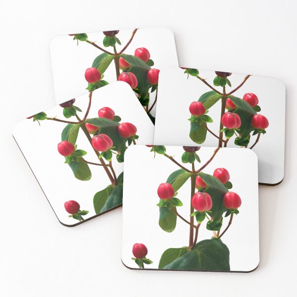 Item preview, St. John's wort flower designed and sold by IgorKovalenko.
