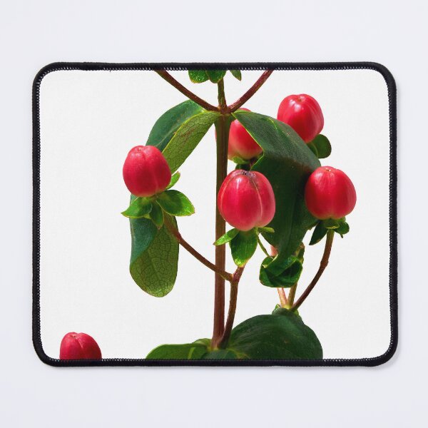 Item preview, St. John's wort flower designed and sold by IgorKovalenko.