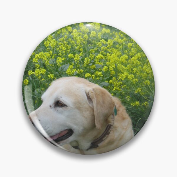 Item preview, Good 'Ol Dog with yellow flowers designed and sold by Energymiser.