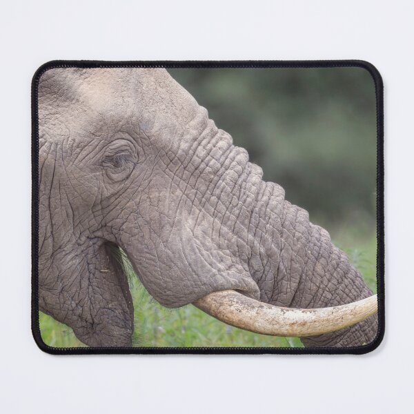 Item preview, Elephant Profile Tanzania Africa designed and sold by PhotoArt by Joan Carroll.