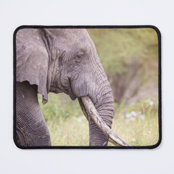 Item preview, A Big Tusker Tanzania Africa designed and sold by PhotoArt by Joan Carroll.