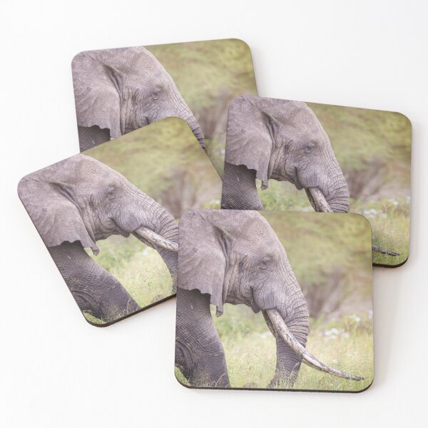 Item preview, A Big Tusker Tanzania Africa designed and sold by PhotoArt by Joan Carroll.