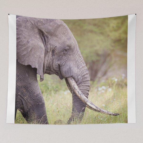 Item preview, A Big Tusker Tanzania Africa designed and sold by PhotoArt by Joan Carroll.