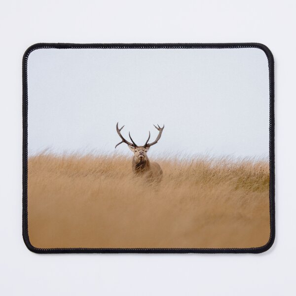 Item preview, Red Stag on the Moors designed and sold by Wildlife Photographer UK.