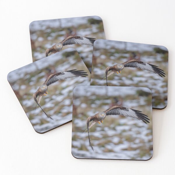 Item preview, Red Kite in Flight - winter scene designed and sold by Wildlife Photographer UK.