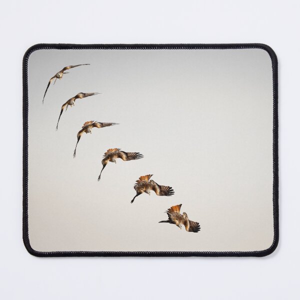 Item preview, Red Kite diving for its prey designed and sold by Wildlife Photographer UK.