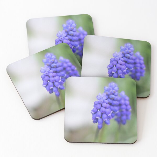 Item preview, Grape Hyacinths Sign of Spring designed and sold by Page Photography.