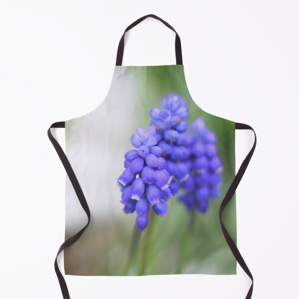 Item preview, Grape Hyacinths Sign of Spring designed and sold by Page Photography.