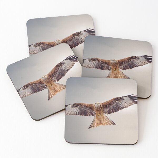 Item preview, Beautiful Red Kite designed and sold by Wildlife Photographer UK.