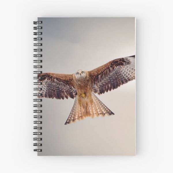 Item preview, Beautiful Red Kite designed and sold by Wildlife Photographer UK.